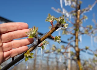 Gel 2021 : les détails de l'aide aux entreprises de l'aval