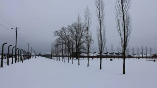 camp