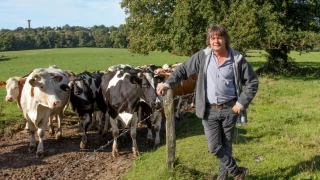 Yves Sauvaget