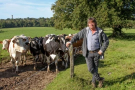 Yves Sauvaget