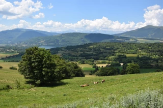 Lait local : des briques Plein lait Yeux