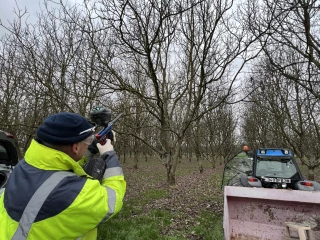 Du paintball dans les vergers de noyers isérois