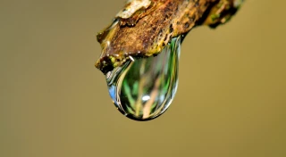 Où est passée l'eau du barrage ?
