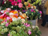 fleurs