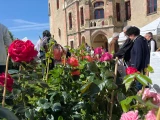 fleurs