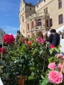 fleurs