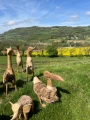 animaux bois