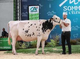 Un prix pour Nobelle
