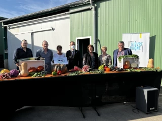 Des légumes qui grandissent
