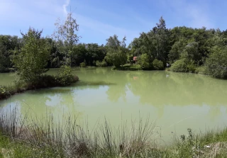 L’Isère dans l’étang